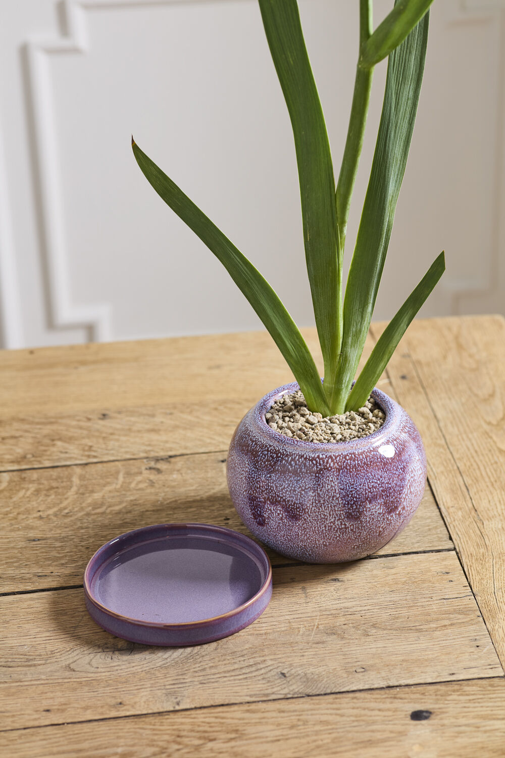 Casey Pot with Saucer