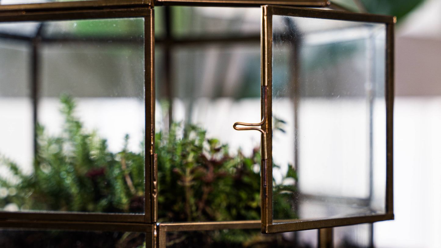 Large Birdcage Glass and Metal Terrarium 10 x 9