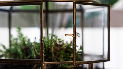 Large Birdcage Glass and Metal Terrarium 10 x 9