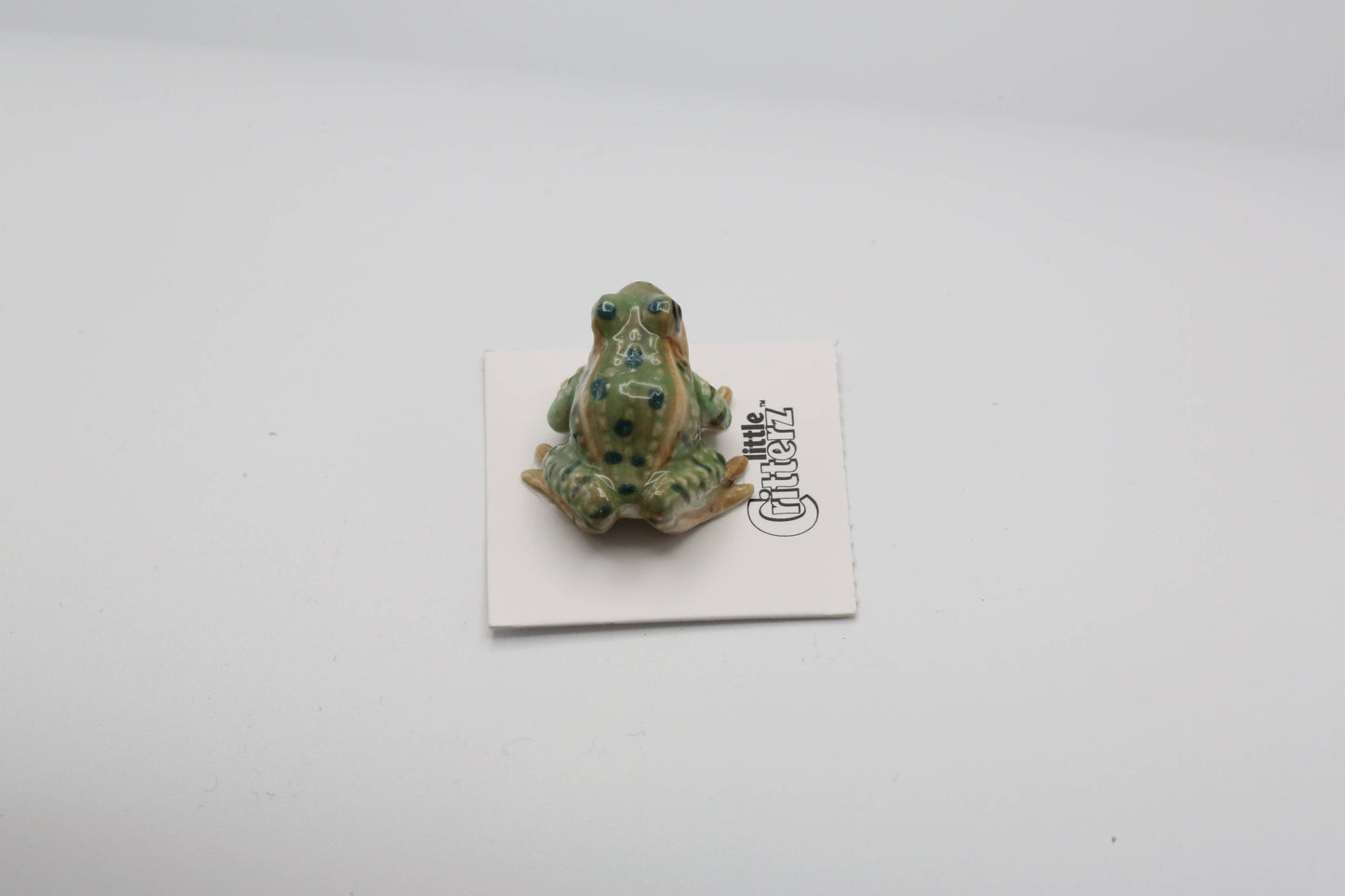 Porcelain Rana The Leopard Frog Figurine