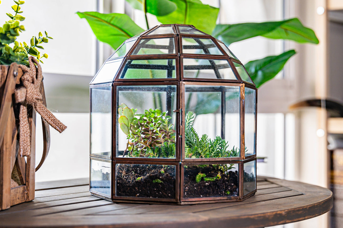 Large Birdcage Glass and Metal Terrarium 10 x 9