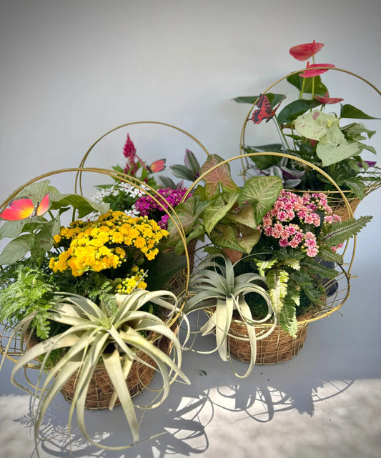 The Botanical Basket