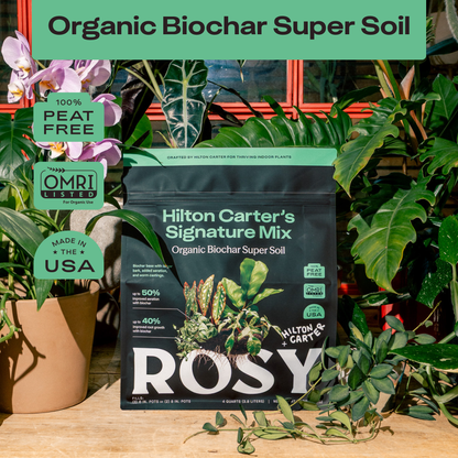 4 qt. Rosy Soil Hilton Carter's Signature Soil Mix