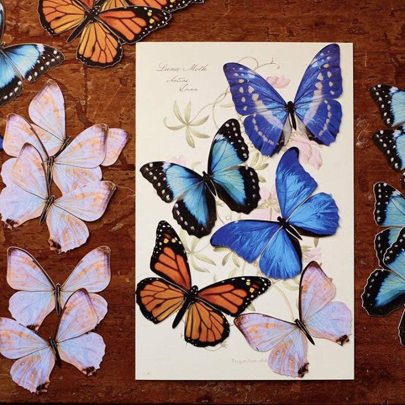 Morphos & Monarch Butterfly Collection - 5 Piece Set