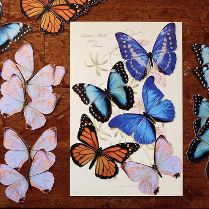 Morphos & Monarch Butterfly Collection - 5 Piece Set