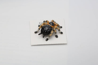 Porcelain Silk the Tarantula Figurine