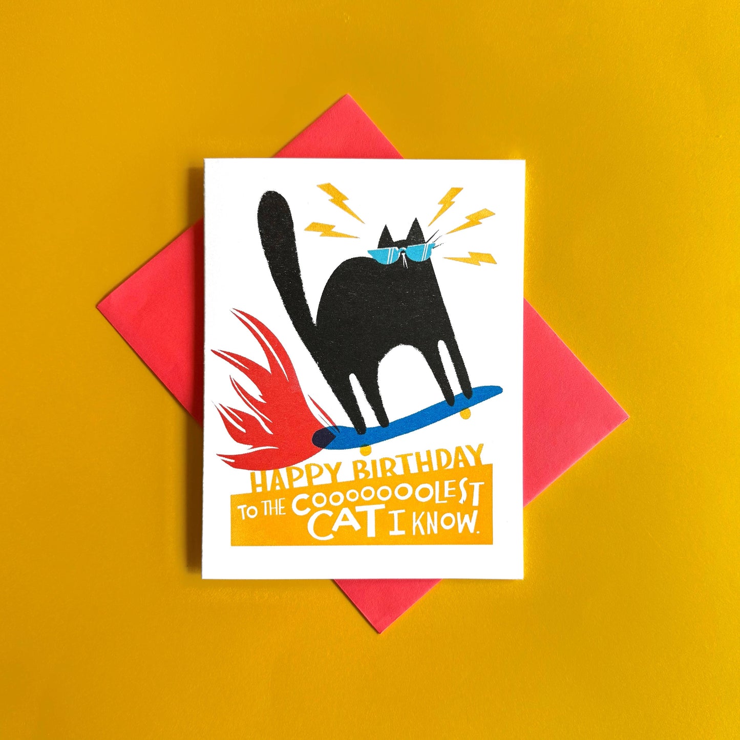 Cool Skateboard Cat Birthday Card