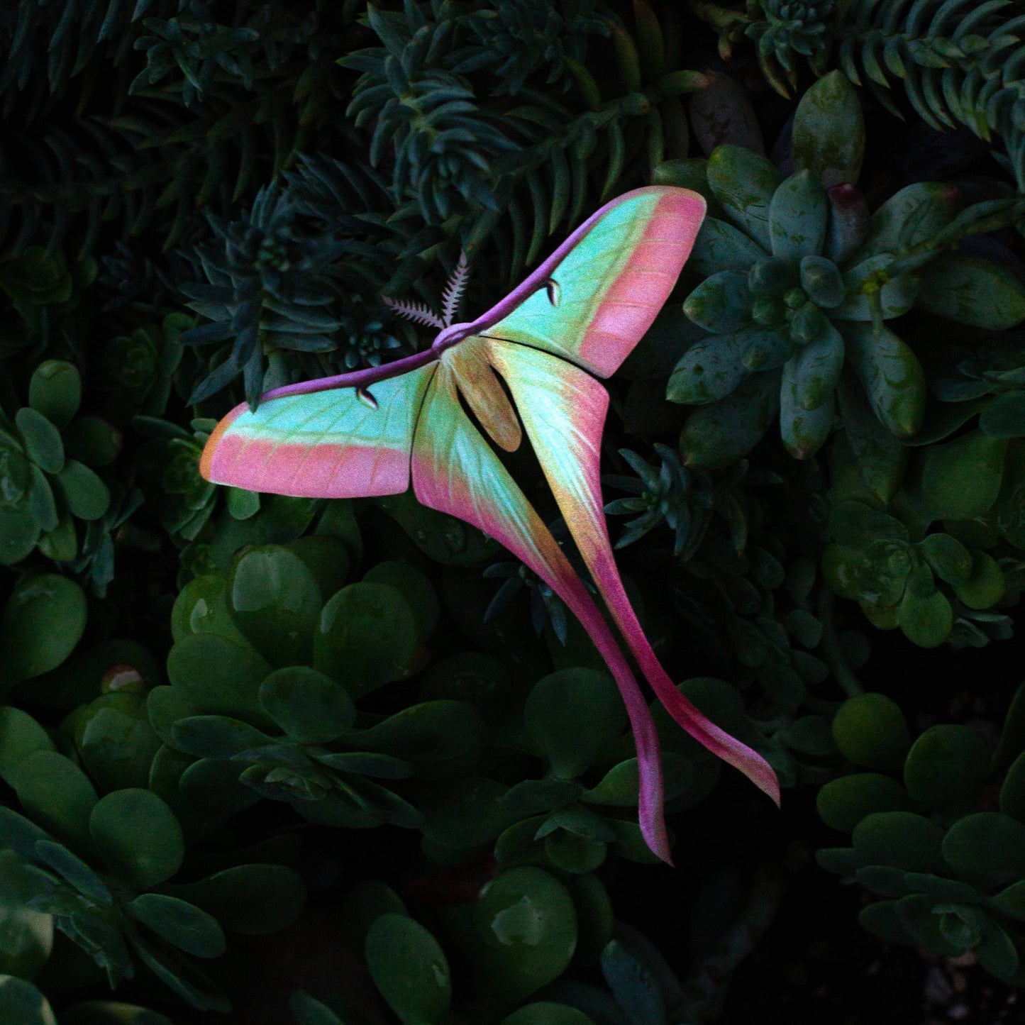 Moonborn Luna Moth Collection - 3 Piece Set