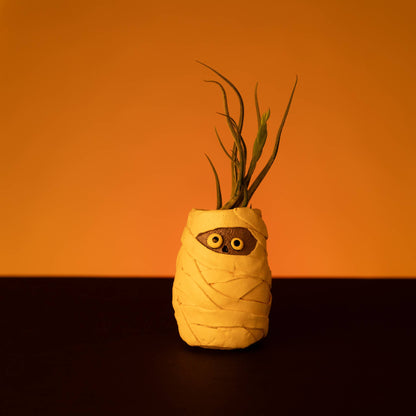 Mummy Mia the Mummy Blobhouse Planter