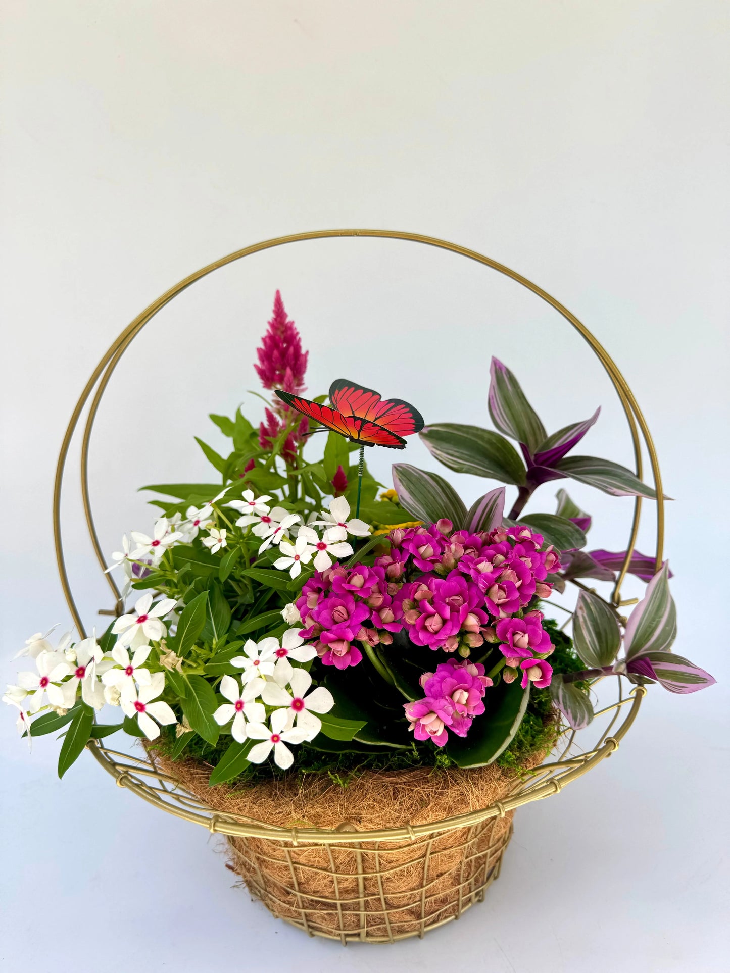The Botanical Basket