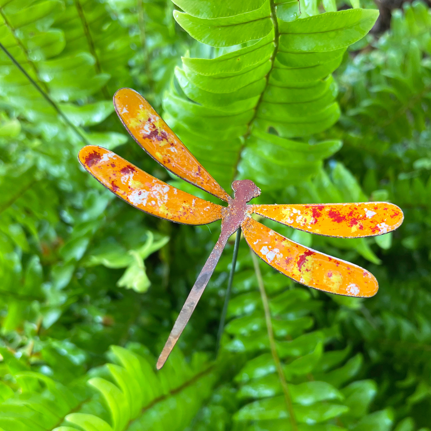 Copper Enamel Dragonfly