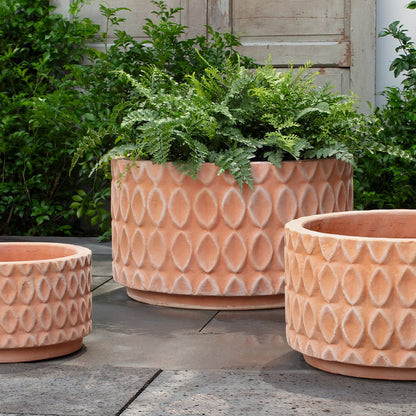 Campania Oriel Low Planter