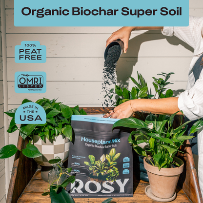 4 qt. Rosy Soil Houseplant Soil Mix