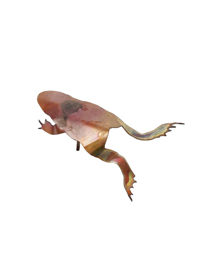 Natural Copper Frog