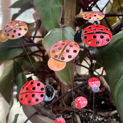 Copper Enamel Ladybug