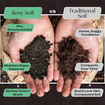 4 qt. Rosy Soil Hilton Carter's Signature Soil Mix