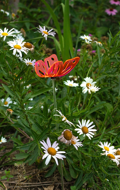 Fluorescent Butterfly stake - Butterfly garden