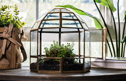 Large Birdcage Glass and Metal Terrarium 10 x 9