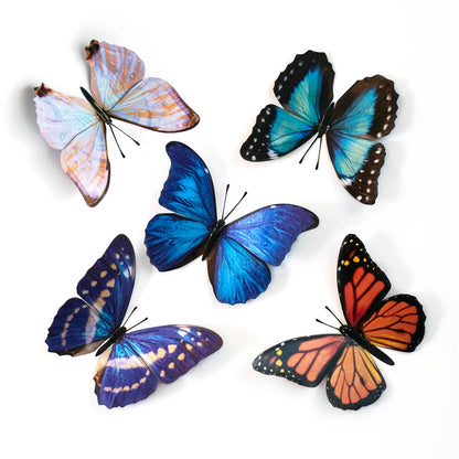 Morphos & Monarch Butterfly Collection - 5 Piece Set