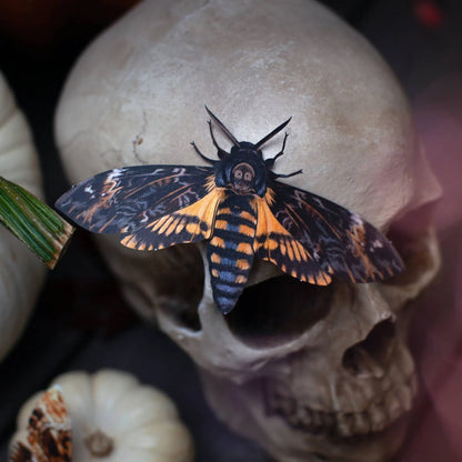 Halloween 'Death's Head' Paper Moth Set