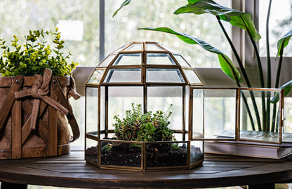 Large Birdcage Glass and Metal Terrarium 10 x 9