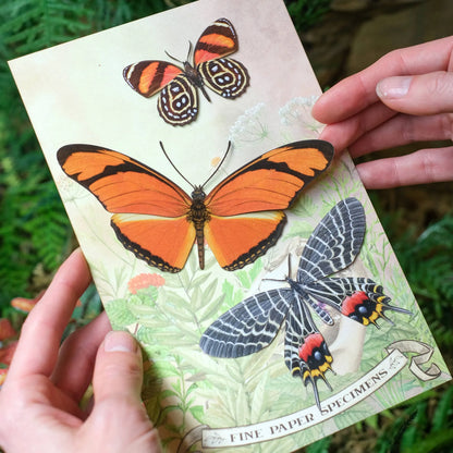 'Flower Child' Psychedelic Butterfly 3 piece Set