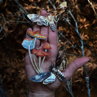 'Forage' Moth & Mushroom 3 piece set