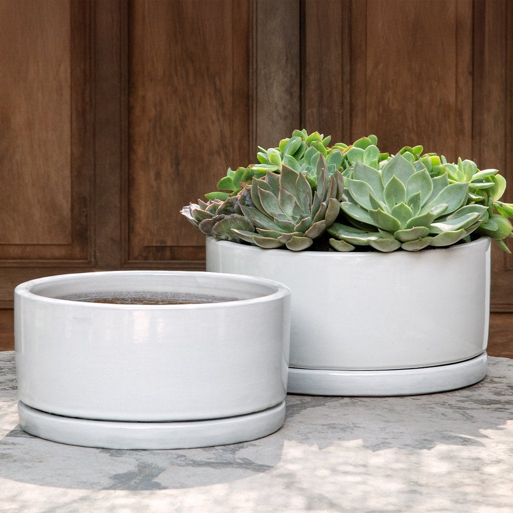 Campania Ardleigh Planter