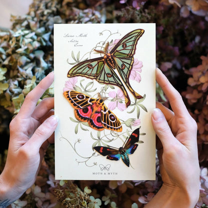 'Jade' Spanish Moon Moth Set