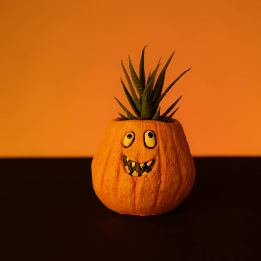 Jordon the Pumpkin Blobhouse Planter
