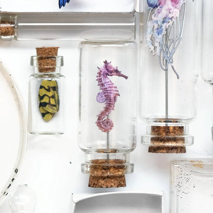 'Biophilia' Micro Specimen Collection