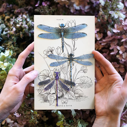 'Aerial' Dragonfly 3 Piece Set