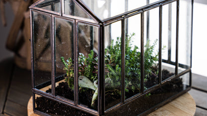 Greenhouse Glass and Metal Terrarium Bronze 10 x 7 x 10