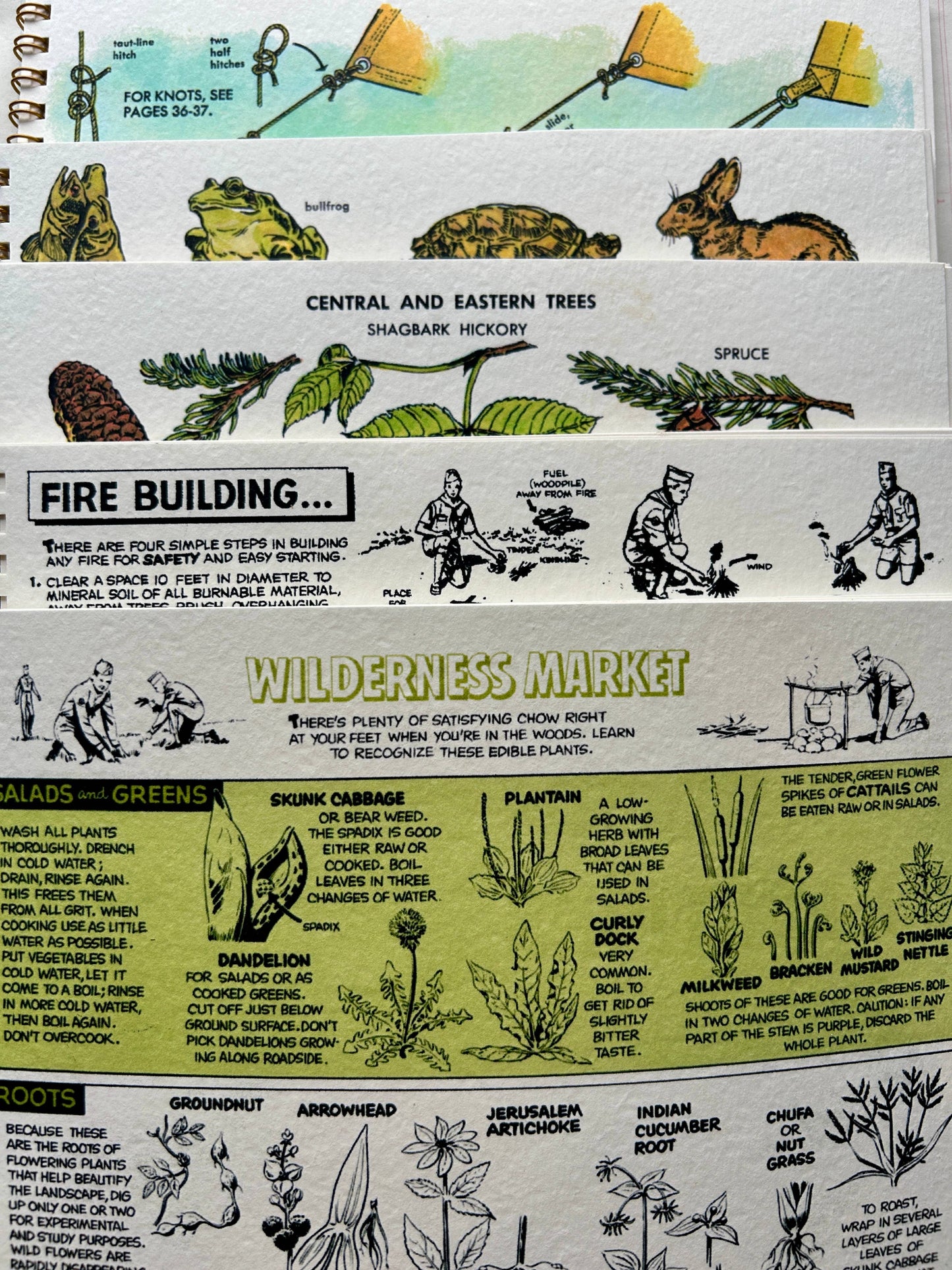 Nature Guides Notebook