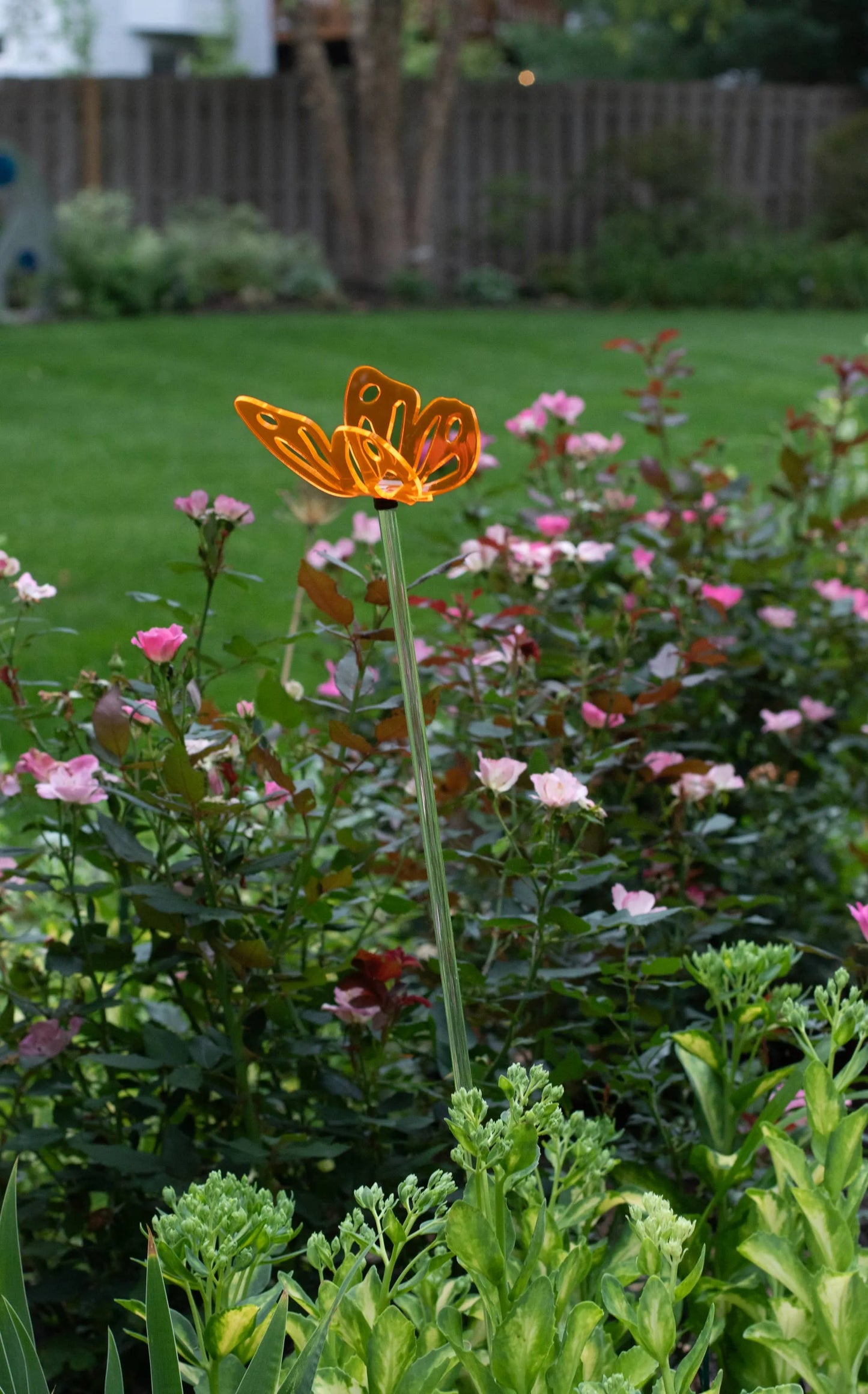 Fluorescent Butterfly stake - Butterfly garden