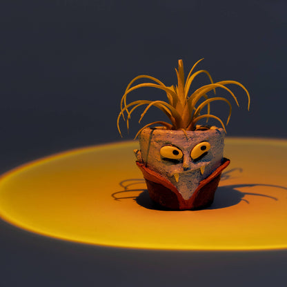 Count Succula the Vampire Blobhouse Planter
