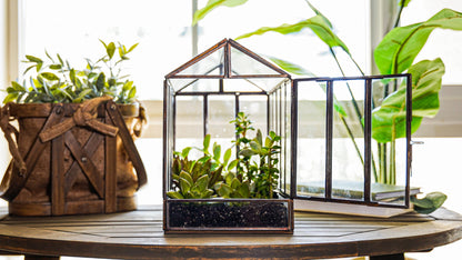 Greenhouse Glass and Metal Terrarium Bronze 10 x 7 x 10