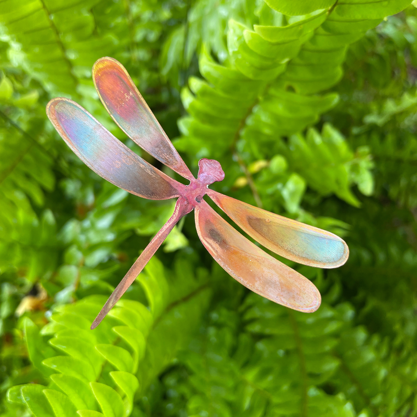 Natural Copper Dragonfly