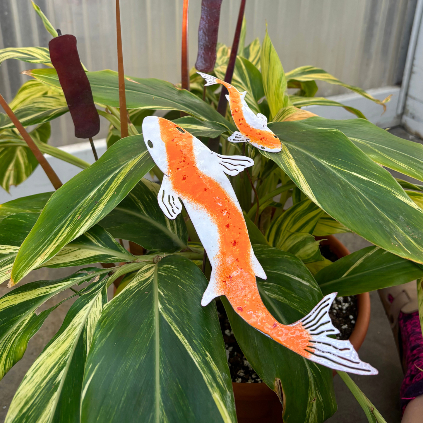 Copper Enamel Koi