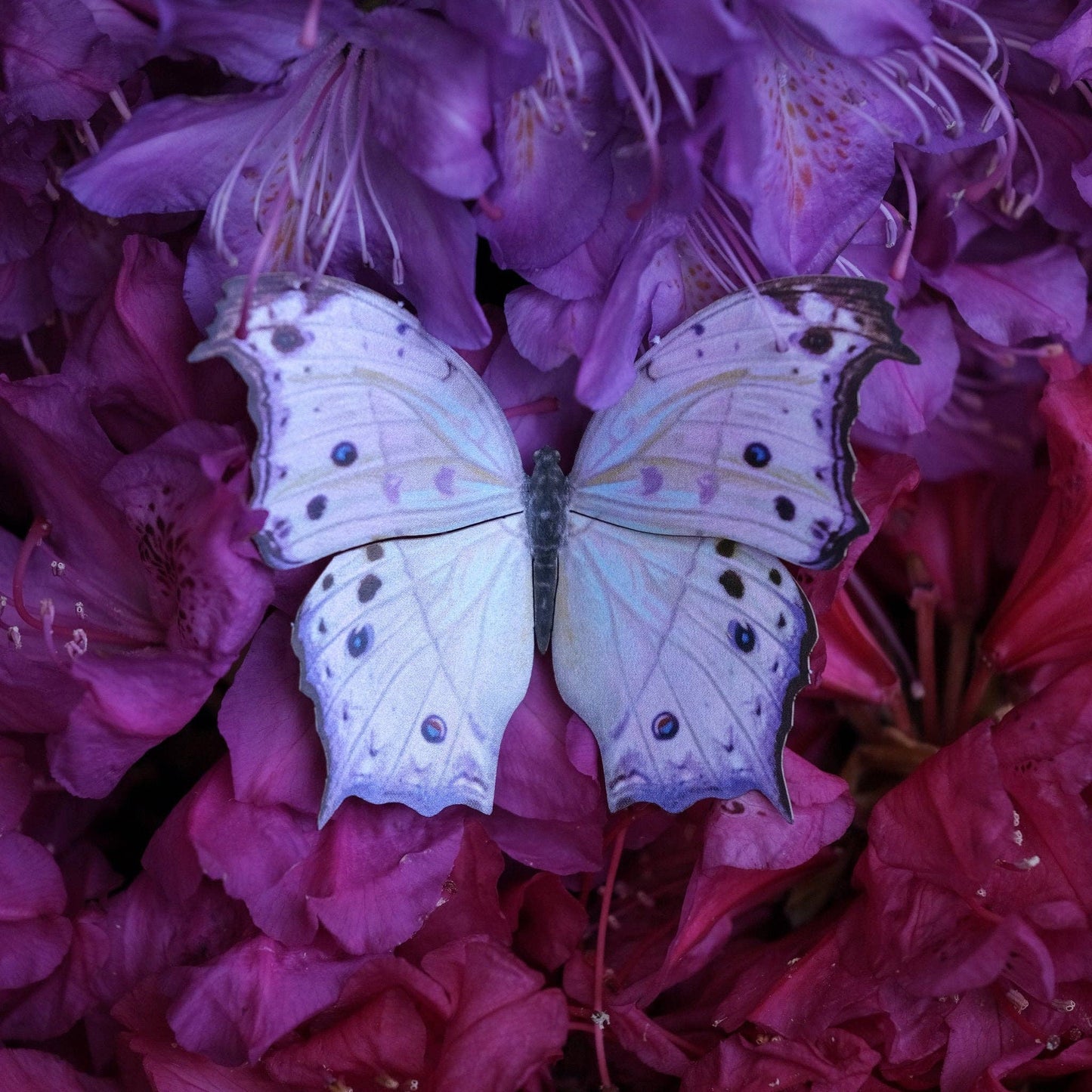Hyacinth Moth & Butterfly Collection - 4 Piece Set