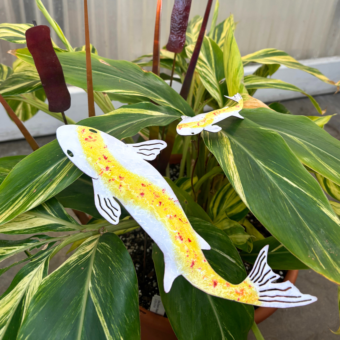 Copper Enamel Koi