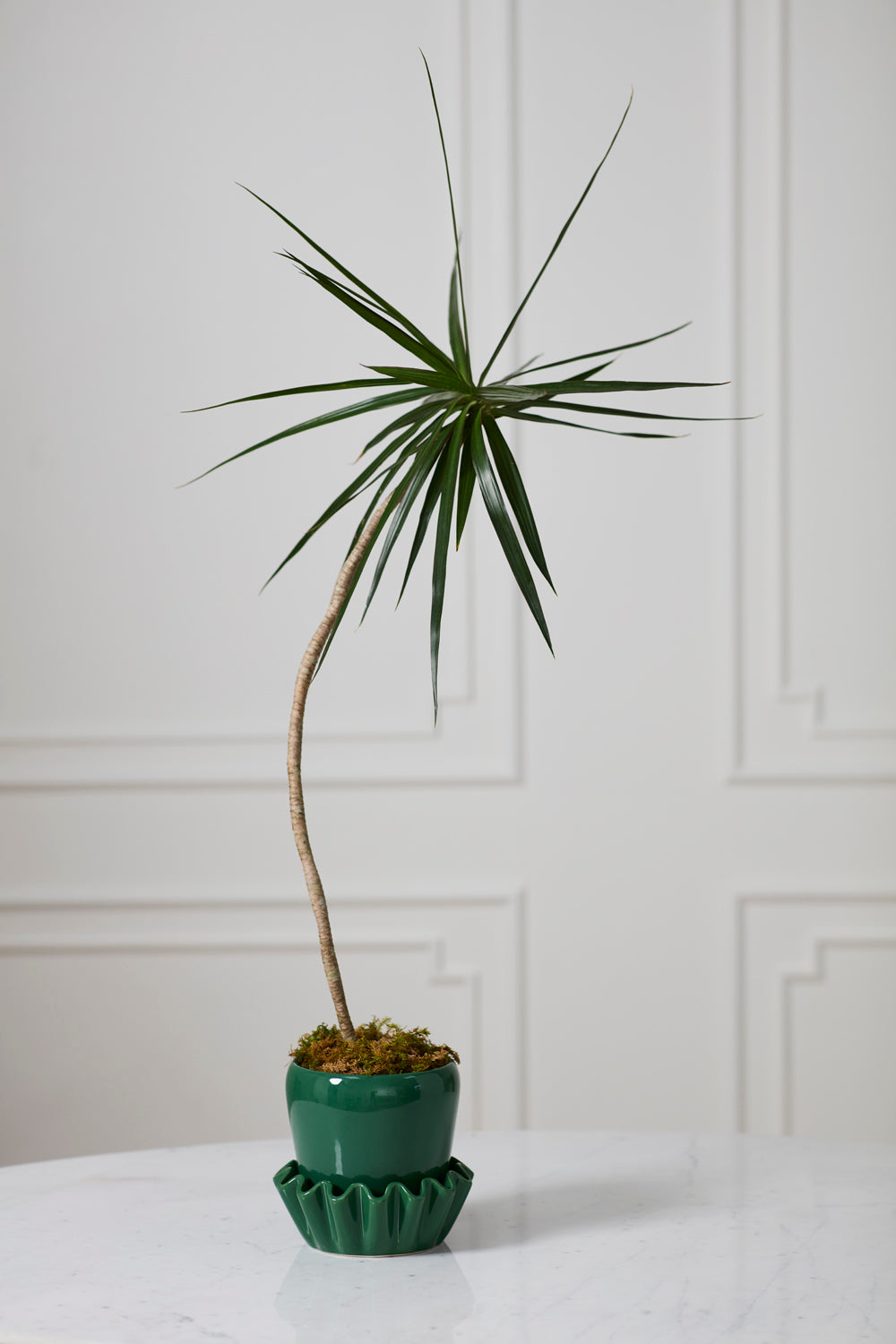 Lorelai Pot With Saucer