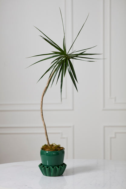 Lorelai Pot With Saucer