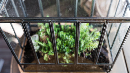 Greenhouse Glass and Metal Terrarium Bronze 10 x 7 x 10