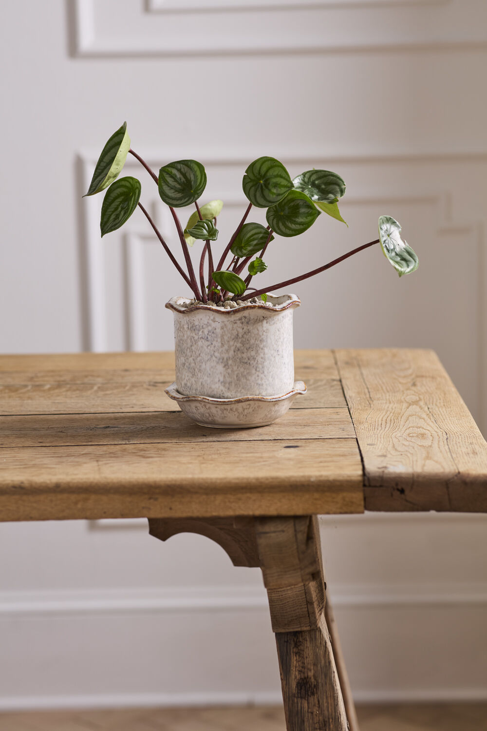 Aurina Pot with Saucer