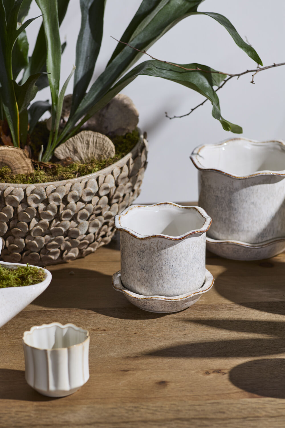 Aurina Pot with Saucer