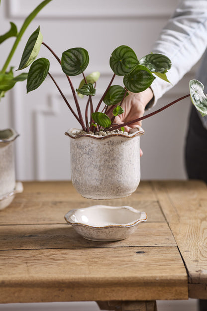 Aurina Pot with Saucer