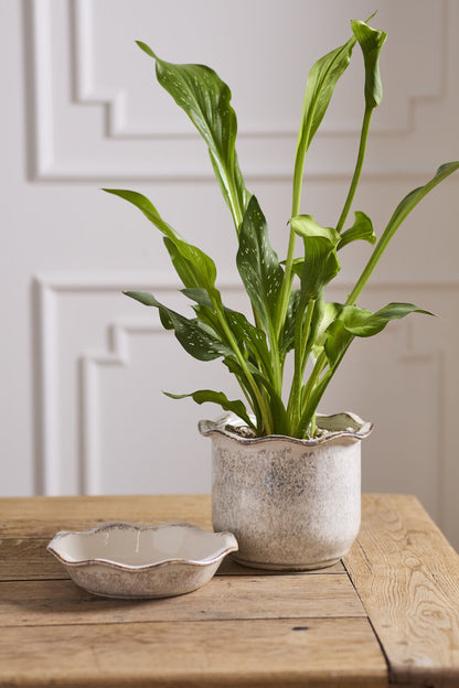 Aurina Pot with Saucer