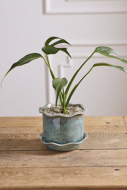 Aurina Pot with Saucer