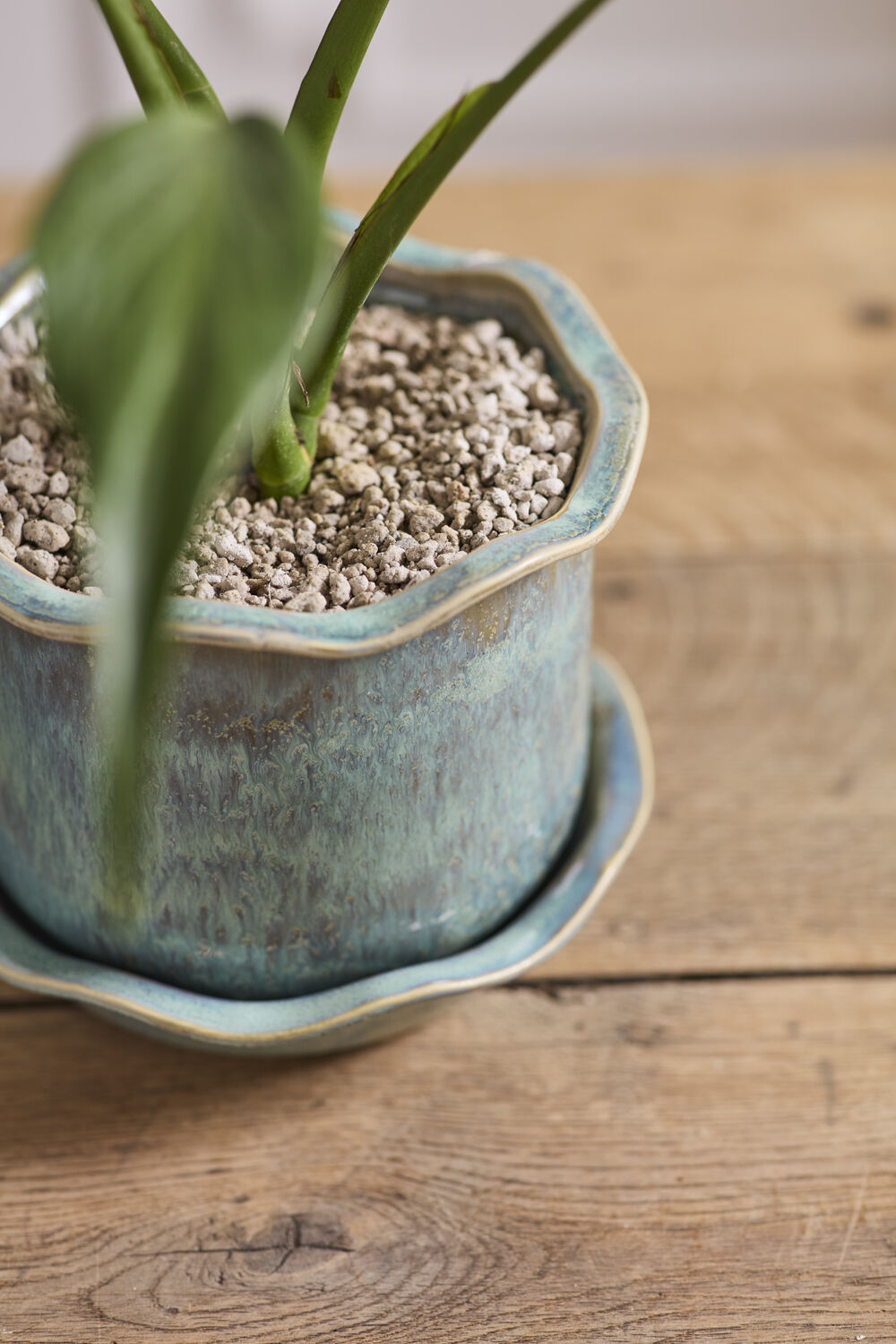 Aurina Pot with Saucer